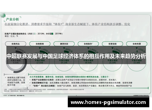 中超联赛发展与中国足球经济体系的相互作用及未来趋势分析