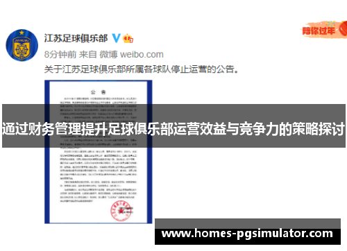 通过财务管理提升足球俱乐部运营效益与竞争力的策略探讨