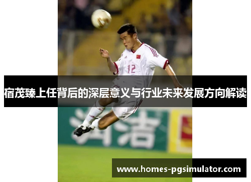 宿茂臻上任背后的深层意义与行业未来发展方向解读