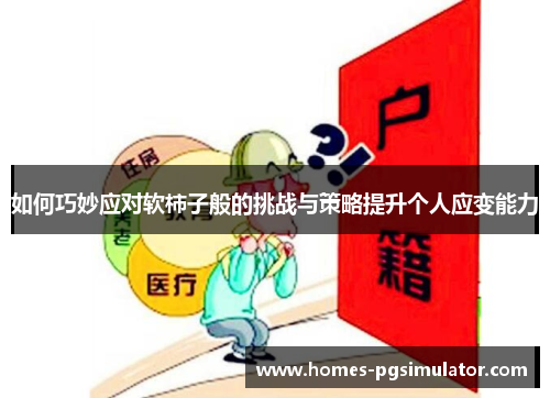 如何巧妙应对软柿子般的挑战与策略提升个人应变能力