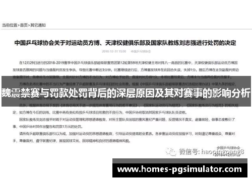 魏震禁赛与罚款处罚背后的深层原因及其对赛事的影响分析