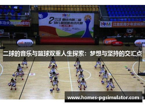 二球的音乐与篮球双重人生探索：梦想与坚持的交汇点
