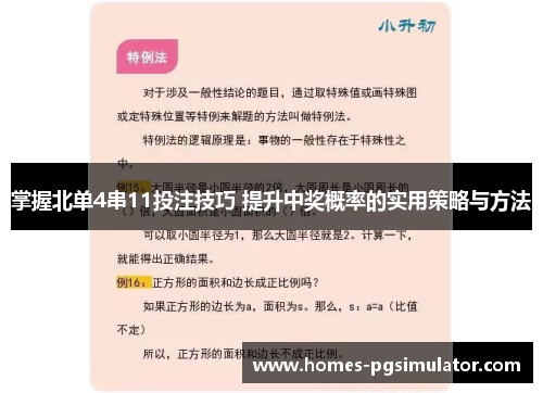 掌握北单4串11投注技巧 提升中奖概率的实用策略与方法
